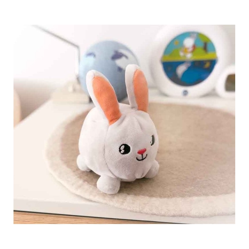 PABOBO - Shining pet SHAKIES bunny 2xCR32