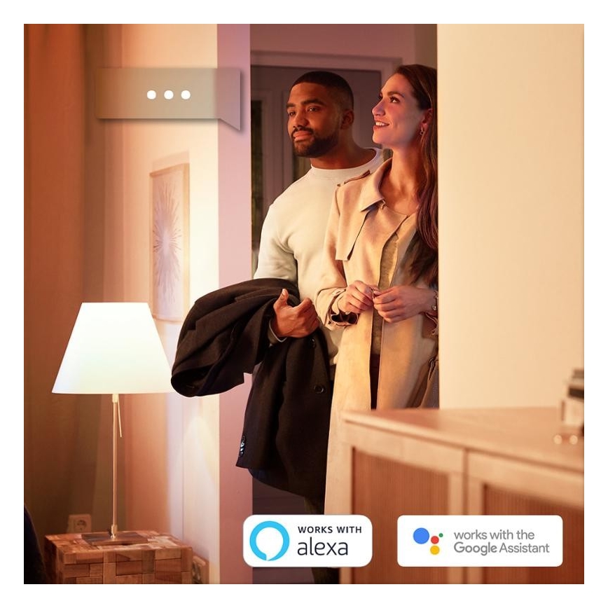 PAKET 2x Dimbar LED-lampa Philips Hue Vit E27/9W/230V 2700K