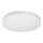 Palnas 61000886 - LED Takbelysning MONY LED/26W/230V 3000K