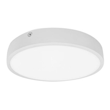 Palnas 61003580 - LED Badrumsbelysning tak EGON LED/30W/230V IP44 3000K