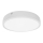 Palnas 61003580 - LED Badrumsbelysning tak EGON LED/30W/230V IP44 3000K