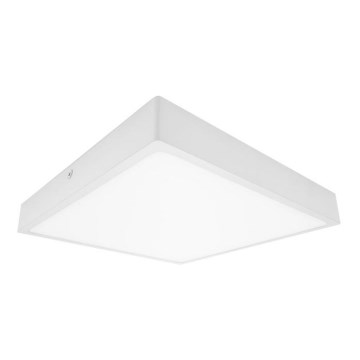 Palnas 61003634 - LED Badrumsbelysning tak EGON LED/16W/230V IP44 4000K