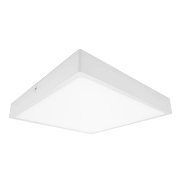 Palnas 61003665 - LED Badrumsbelysning tak EGON LED/30W/230V IP44 3000K