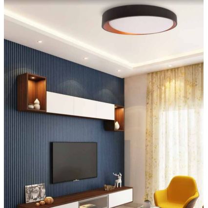 Palnas 61004563 - LED Takbelysning ADEL LED/40W/230V ø 50 cm svart