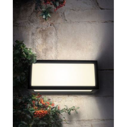 Palnas 66001388 - Utomhus Väggbelysning TONY 1xE27/18W/230V IP54
