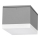 Palnas 66001463 - LED Utomhus Takbelysning BRUNO LED/10W/230V IP54