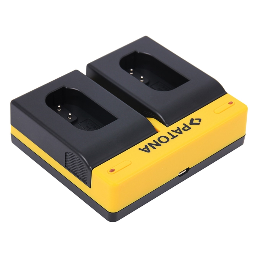 PATONA - Laddare Foto Dual Panasonic DMW-BLK22 USB