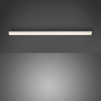 Paul Neuhaus 1125-21-A - LED Förlängning under kök cabinet belysning AMON LED/6W/12/230V
