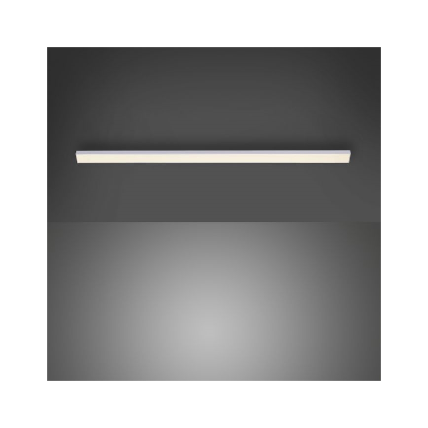 Paul Neuhaus 1125-21-A - LED Förlängning under kök cabinet belysning AMON LED/6W/12/230V