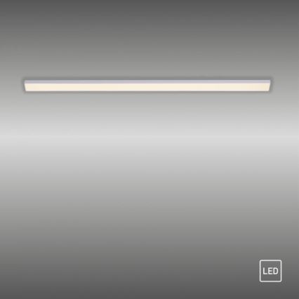 Paul Neuhaus 1125-21-A - LED Förlängning under kök cabinet belysning AMON LED/6W/12/230V