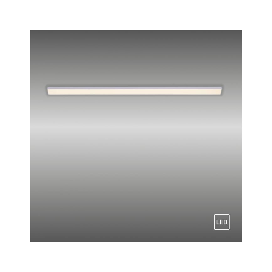 Paul Neuhaus 1125-21-A - LED Förlängning under kök cabinet belysning AMON LED/6W/12/230V