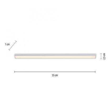 Paul Neuhaus 1125-21-A - LED Förlängning under kök cabinet belysning AMON LED/6W/12/230V