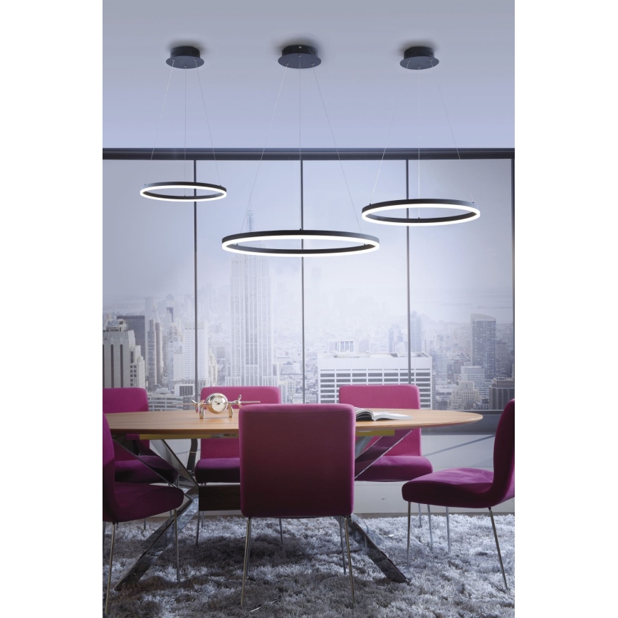 Paul Neuhaus 2381-13 - LED ljusreglerad Ljuskrona med upphängningsrem  TITUS LED/28W/230V