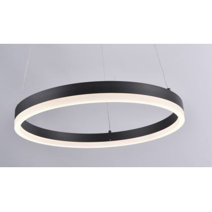 Paul Neuhaus 2381-13 - LED ljusreglerad Ljuskrona med upphängningsrem  TITUS LED/28W/230V