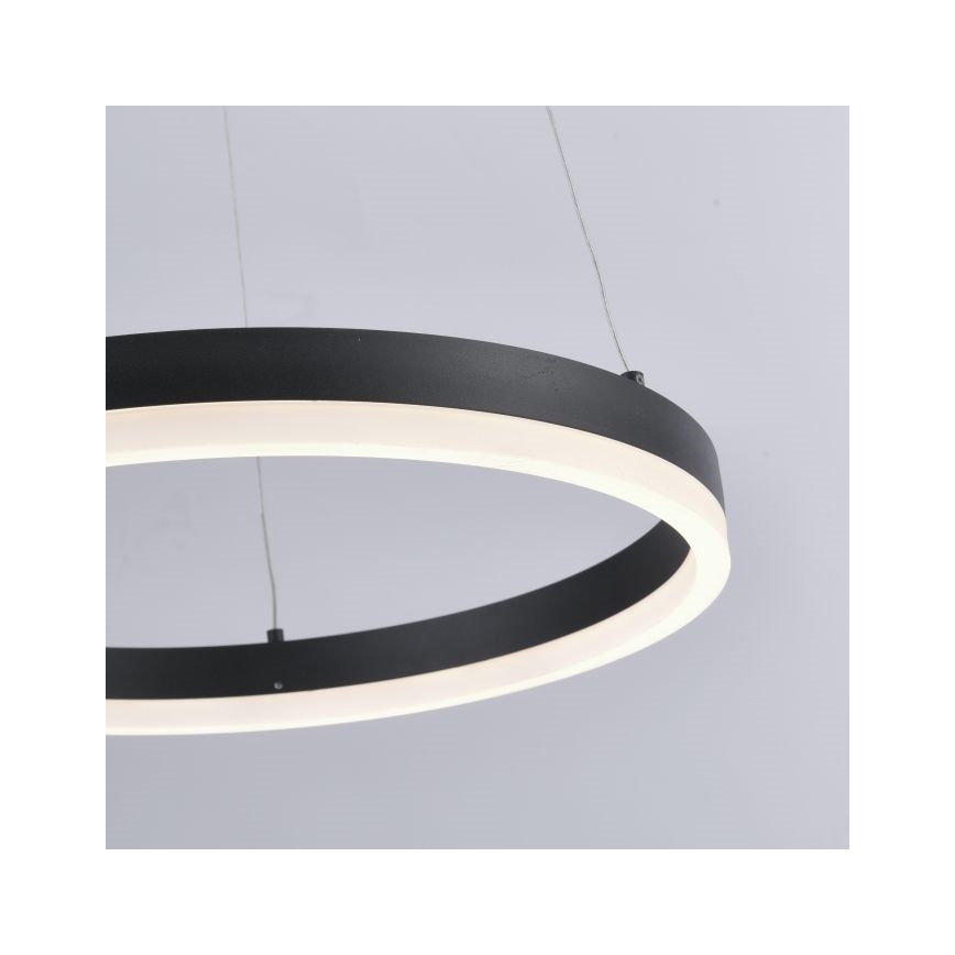 Paul Neuhaus 2381-13 - LED ljusreglerad Ljuskrona med upphängningsrem  TITUS LED/28W/230V