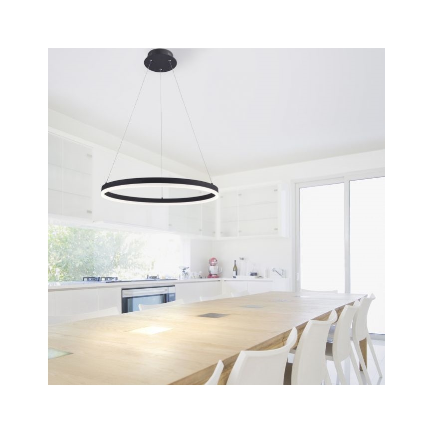 Paul Neuhaus 2382-13 - LED ljusreglerad Ljuskrona med upphängningsrem  TITUS LED/38,5W/230V