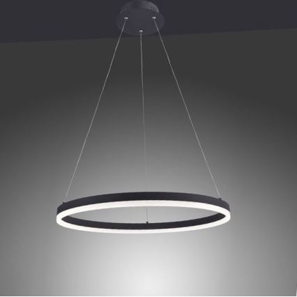 Paul Neuhaus 2382-13 - LED ljusreglerad Ljuskrona med upphängningsrem  TITUS LED/38,5W/230V