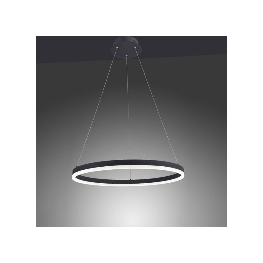 Paul Neuhaus 2382-13 - LED ljusreglerad Ljuskrona med upphängningsrem  TITUS LED/38,5W/230V
