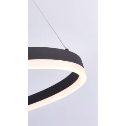 Paul Neuhaus 2382-13 - LED ljusreglerad Ljuskrona med upphängningsrem  TITUS LED/38,5W/230V