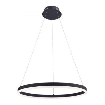 Paul Neuhaus 2382-13 - LED ljusreglerad Ljuskrona med upphängningsrem  TITUS LED/38,5W/230V