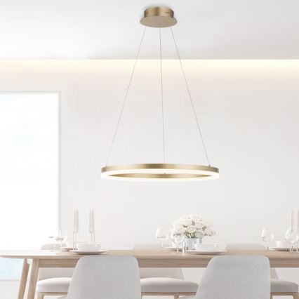 Paul Neuhaus 2382-60 - LED ljusreglerad ljuskrona på textilsladd TITUS LED/38,5W/230V