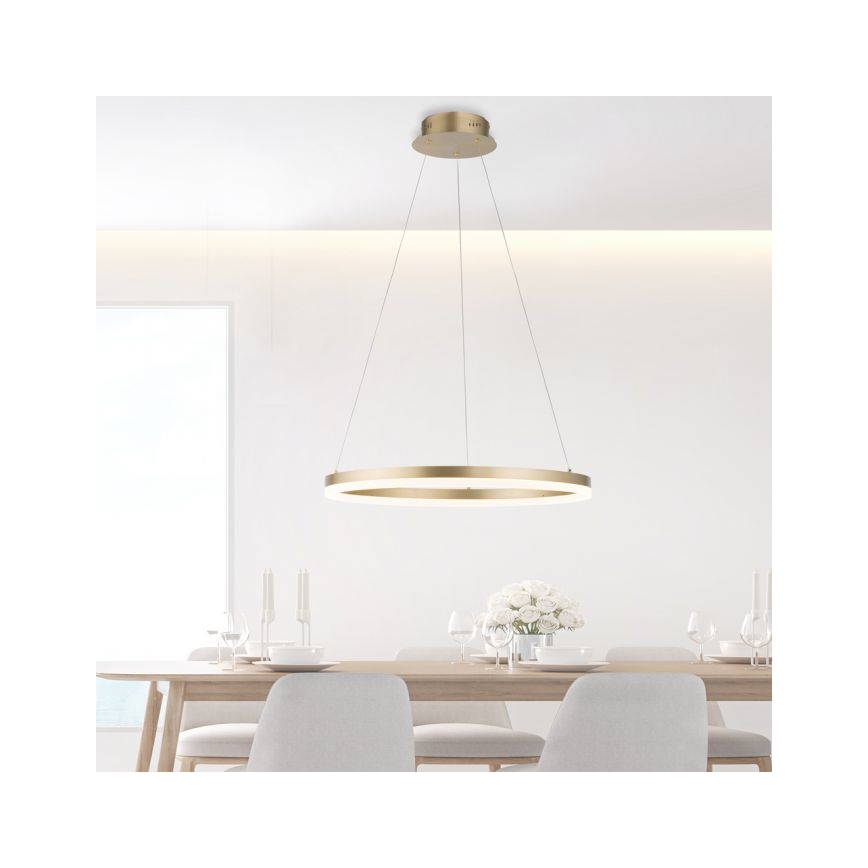 Paul Neuhaus 2382-60 - LED ljusreglerad ljuskrona på textilsladd TITUS LED/38,5W/230V