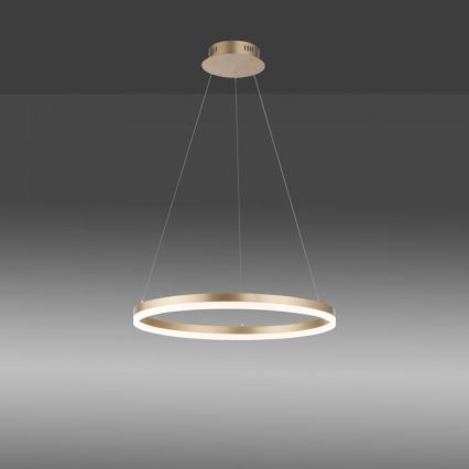 Paul Neuhaus 2382-60 - LED ljusreglerad ljuskrona på textilsladd TITUS LED/38,5W/230V