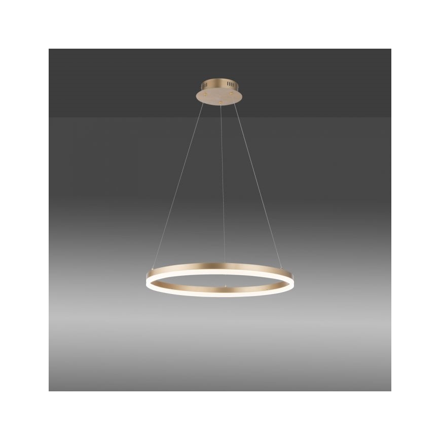 Paul Neuhaus 2382-60 - LED ljusreglerad ljuskrona på textilsladd TITUS LED/38,5W/230V