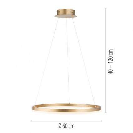 Paul Neuhaus 2382-60 - LED ljusreglerad ljuskrona på textilsladd TITUS LED/38,5W/230V