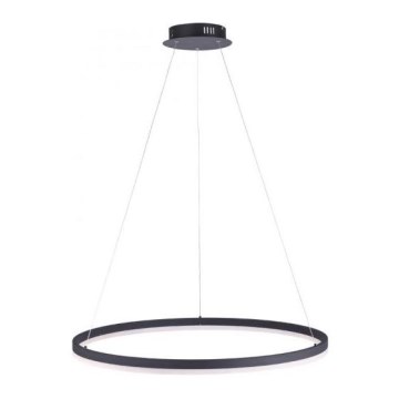 Paul Neuhaus 2383-13 - Dimbar LED-lampakrona med snöre TITUS LED/50W/230V