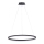 Paul Neuhaus 2383-13 - Dimbar LED-lampakrona med snöre TITUS LED/50W/230V