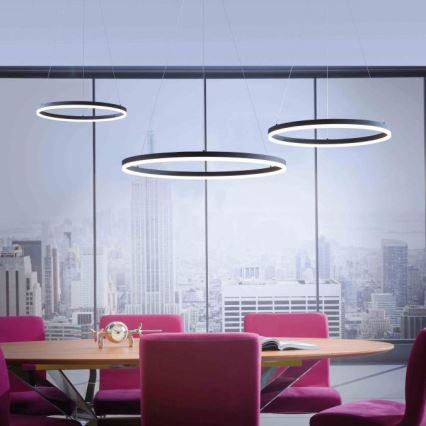 Paul Neuhaus 2383-13 - Dimbar LED-lampakrona med snöre TITUS LED/50W/230V