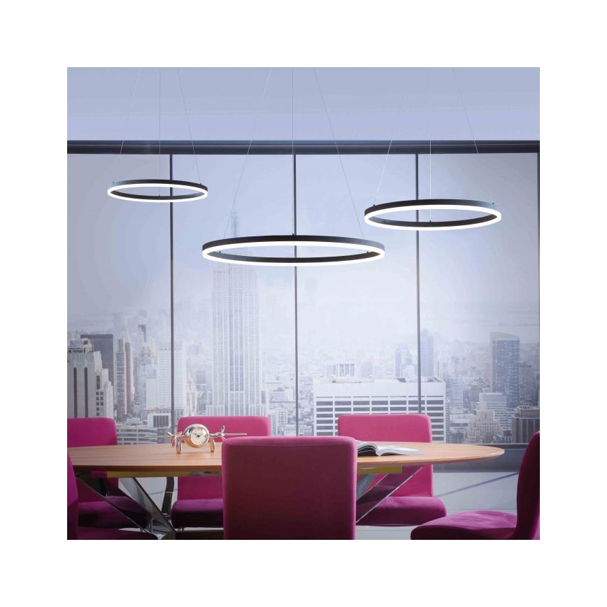 Paul Neuhaus 2383-13 - Dimbar LED-lampakrona med snöre TITUS LED/50W/230V