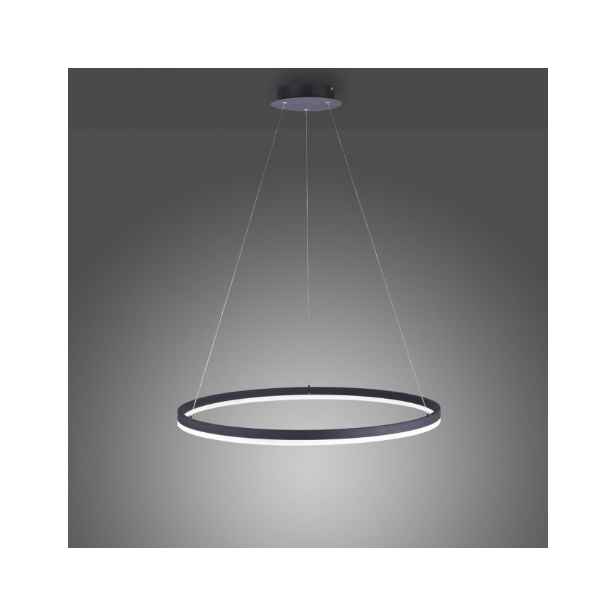 Paul Neuhaus 2383-13 - Dimbar LED-lampakrona med snöre TITUS LED/50W/230V