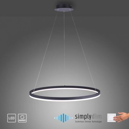 Paul Neuhaus 2383-13 - Dimbar LED-lampakrona med snöre TITUS LED/50W/230V