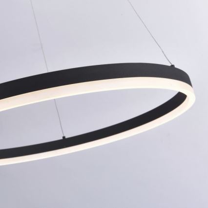 Paul Neuhaus 2383-13 - Dimbar LED-lampakrona med snöre TITUS LED/50W/230V