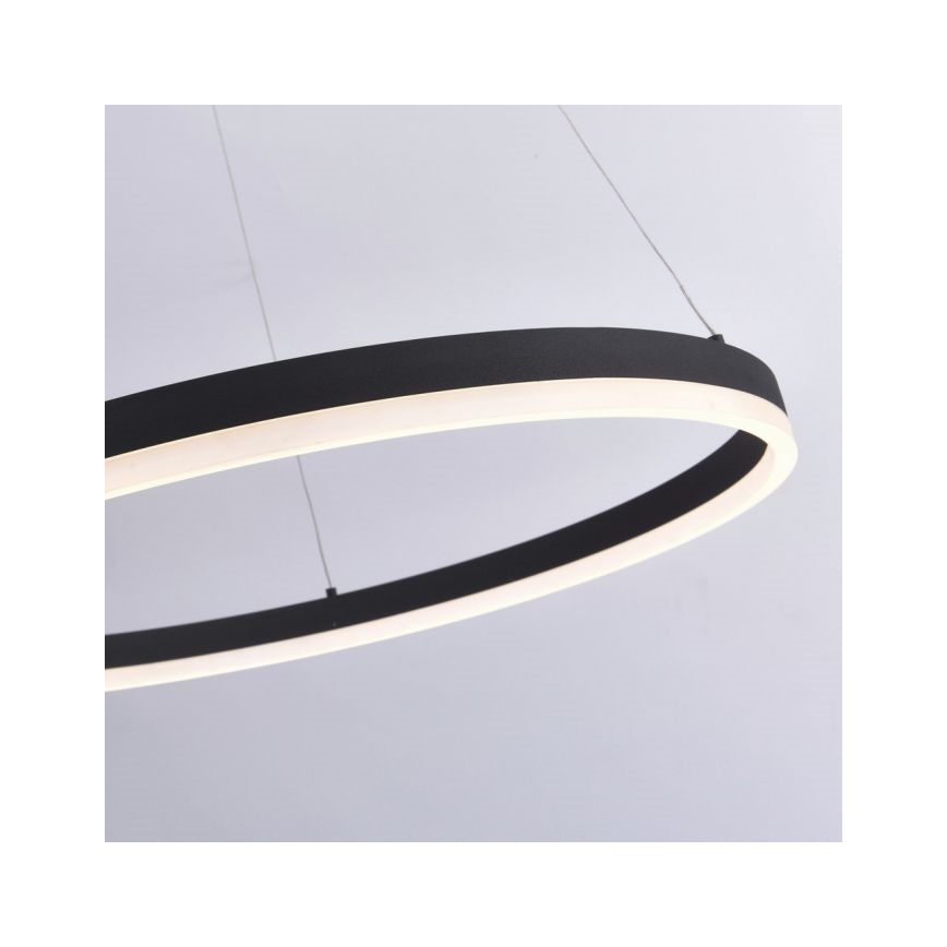 Paul Neuhaus 2383-13 - Dimbar LED-lampakrona med snöre TITUS LED/50W/230V