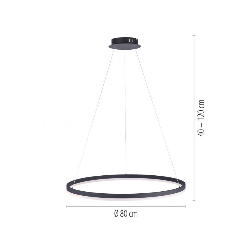 Paul Neuhaus 2383-13 - Dimbar LED-lampakrona med snöre TITUS LED/50W/230V