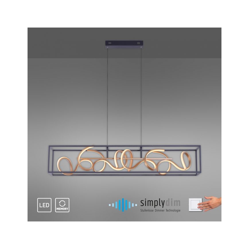 Paul Neuhaus 2416-18 - Dimbar LED-lampakrona med snöre SELINA 4xLED/10,2W/230V
