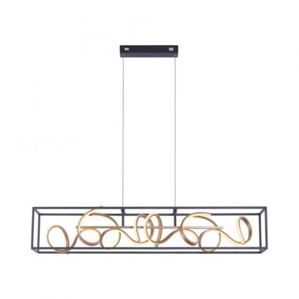 Paul Neuhaus 2416-18 - Dimbar LED-lampakrona med snöre SELINA 4xLED/10,2W/230V
