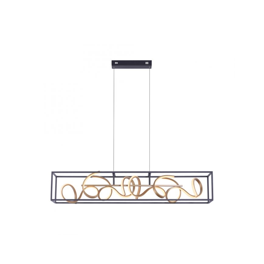 Paul Neuhaus 2416-18 - Dimbar LED-lampakrona med snöre SELINA 4xLED/10,2W/230V