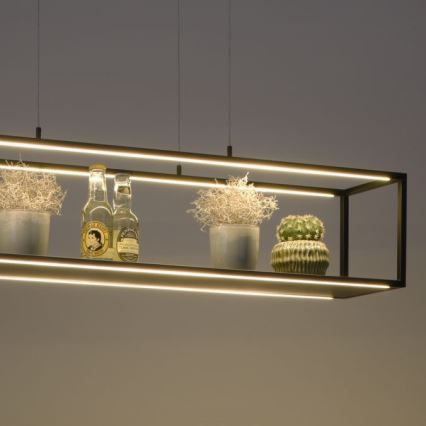 Paul Neuhaus 2441-18 - LED ljusreglerad Ljuskrona med upphängningsrem  CONTURA 4xLED/8W/230V