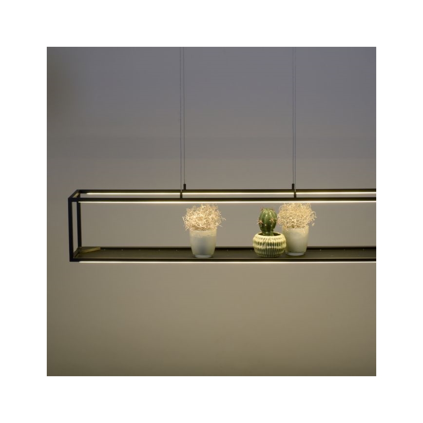 Paul Neuhaus 2441-18 - LED ljusreglerad Ljuskrona med upphängningsrem  CONTURA 4xLED/8W/230V