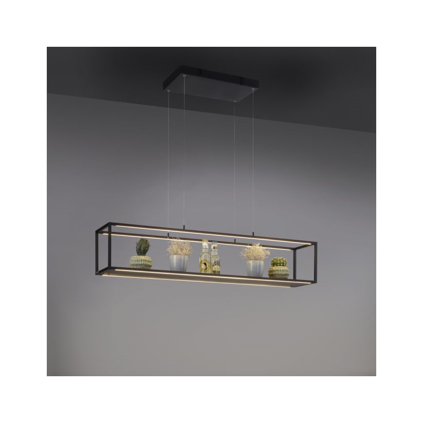 Paul Neuhaus 2441-18 - LED ljusreglerad Ljuskrona med upphängningsrem  CONTURA 4xLED/8W/230V