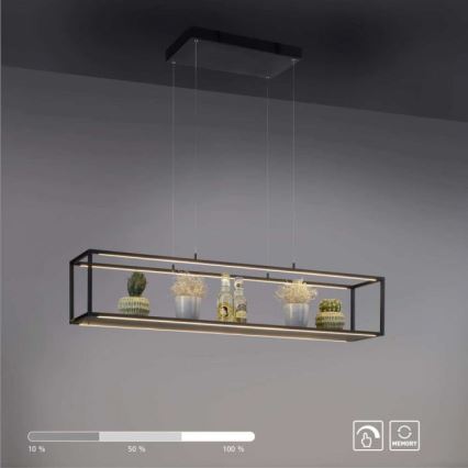 Paul Neuhaus 2441-18 - LED ljusreglerad Ljuskrona med upphängningsrem  CONTURA 4xLED/8W/230V