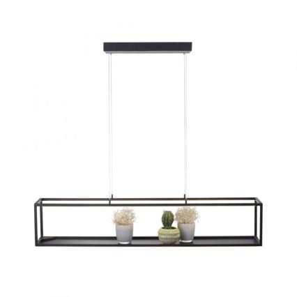 Paul Neuhaus 2441-18 - LED ljusreglerad Ljuskrona med upphängningsrem  CONTURA 4xLED/8W/230V