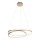 Paul Neuhaus 2474-12 - Dimbar LED-lampakrona med snöre ROMAN LED/40W/230V guld