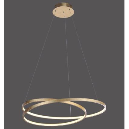 Paul Neuhaus 2474-12 - Dimbar LED-lampakrona med snöre ROMAN LED/40W/230V guld
