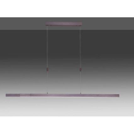 Paul Neuhaus 2568-24 - LED ljusreglerad ljuskrona på textilsladd ADRIANA LED/14W/230V 2700-5000K
