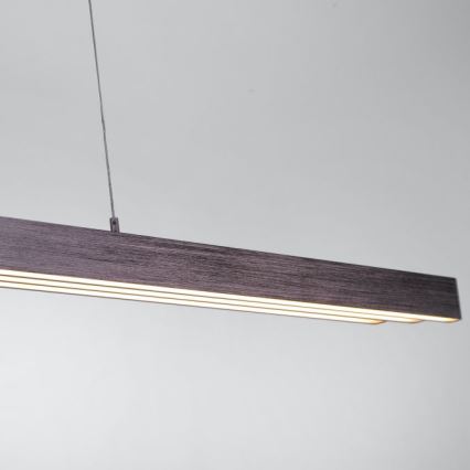 Paul Neuhaus 2568-24 - LED ljusreglerad ljuskrona på textilsladd ADRIANA LED/14W/230V 2700-5000K